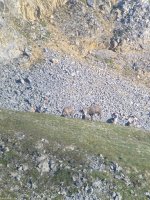 IMG_5852.jpeg