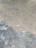 IMG_5803.jpeg