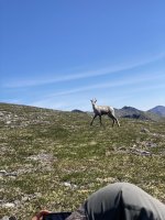 IMG_5635.jpeg