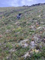 IMG_4596.jpeg