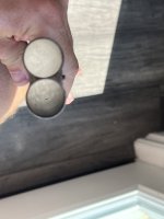 IMG_0141.jpeg