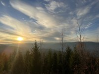 IMG_2446.jpeg