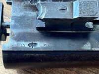 IMG_0209.jpeg