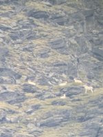IMG_0408.jpeg