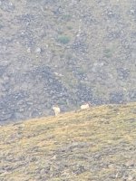 IMG_0472.jpeg