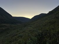 IMG_8118.jpeg