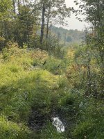 IMG_8081.jpeg