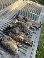 IMG_9692.jpeg