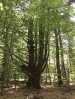 IMG_7820.jpeg