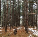 IMG_7821.jpeg