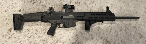 IMG_6144.jpeg