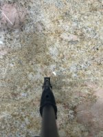 IMG_6228.jpeg