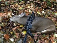 October 30 2022 blacktail buck 308 Win 125gr Accubonds.jpg