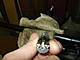 DSC03589.jpg