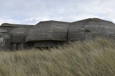 MUS (9).JPG