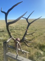 IMG_1924.jpeg
