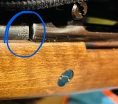 IMG_7044.jpeg