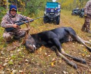 Moose.jpg