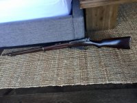 IMG_8137.jpeg