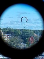 IMG_20241010_122416876.jpg