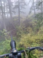 2024-10-06 Treestand view pic 1 - Copy.jpg