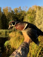 IMG_2719.jpeg