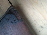 20241009_164558.jpg