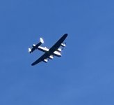 IMG_7585.jpeg