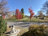 IMG_9799.JPG