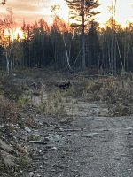 IMG_9841.jpeg
