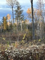 IMG_9850.jpeg