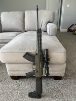 IMG_5335.jpeg