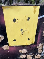 IMG_3966.jpeg