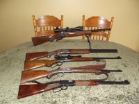 mycollection.jpg