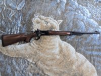 PEDERSOLI 86-71 sm.jpg