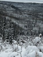 IMG_2020.jpeg
