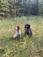 IMG_2266.jpeg