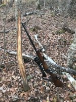 IMG_0536.jpeg