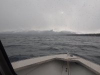 20241023_153729.jpg