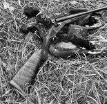 IMG_5427.jpeg