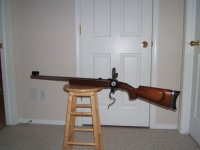 Ruger4570.jpg