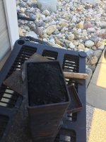 IMG_2663.jpeg IMG_2663.jpeg