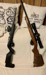 IMG_5537.jpeg