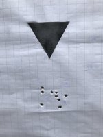 IMG_4478.jpeg