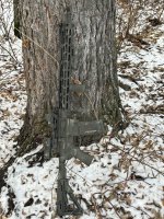 IMG_3442.jpeg