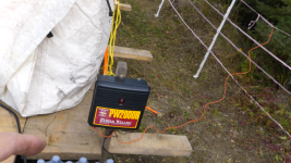 Electric bear fence.png