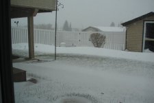 DSC00016.JPG
