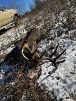 IMG_2115.jpeg