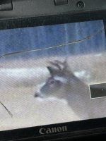 IMG_2090.jpeg