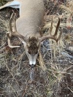 IMG_0480.jpeg